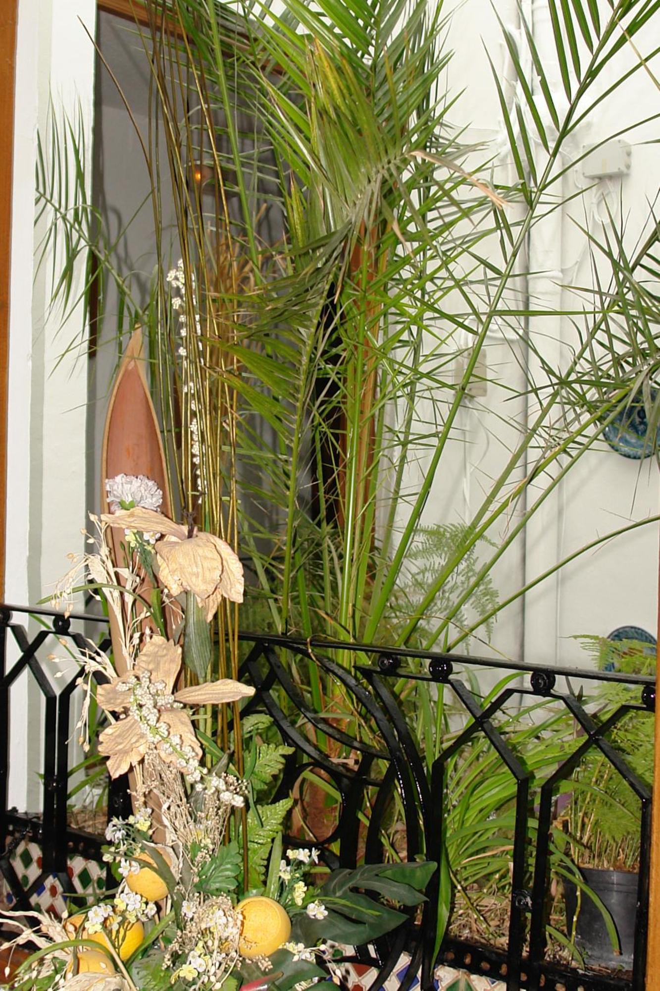 Guest house Zurita